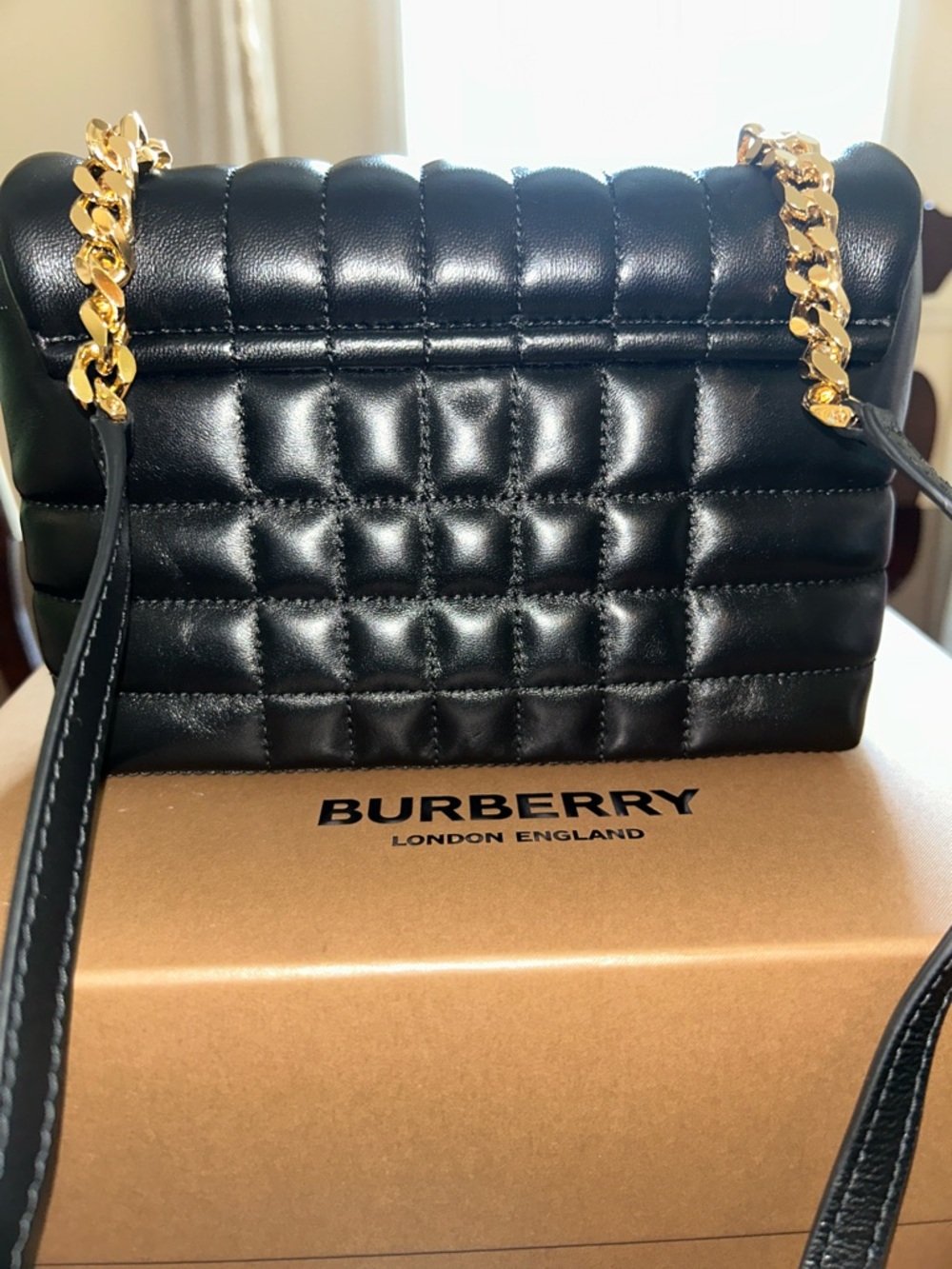 Burberry Black Quilted Leather TB Logo Shoulder Bag with Gold Hardware - Picture 4 of 9